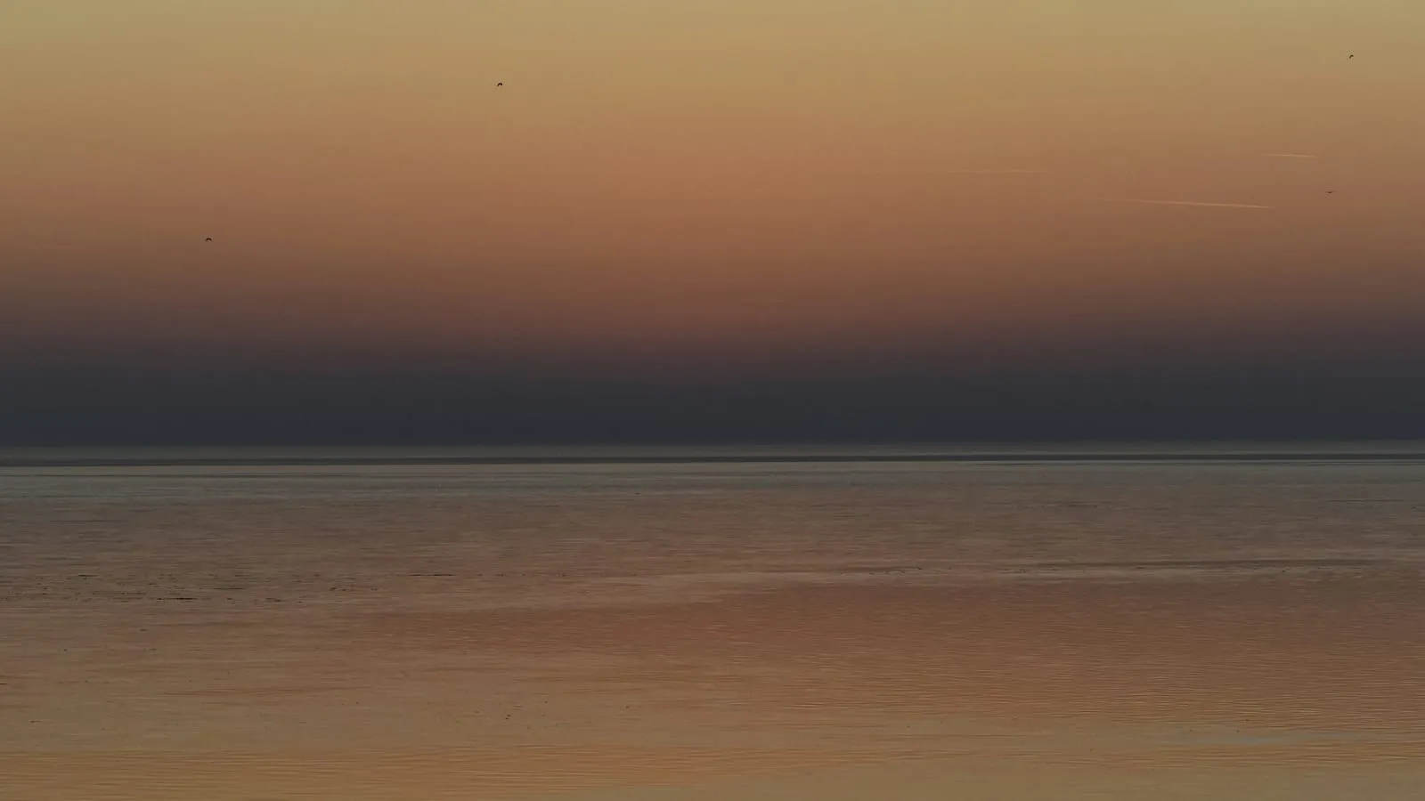 Calm ocean at dusk with soft purple and green hues reflected on still water, suggesting quiet and the possibility of renewal.
