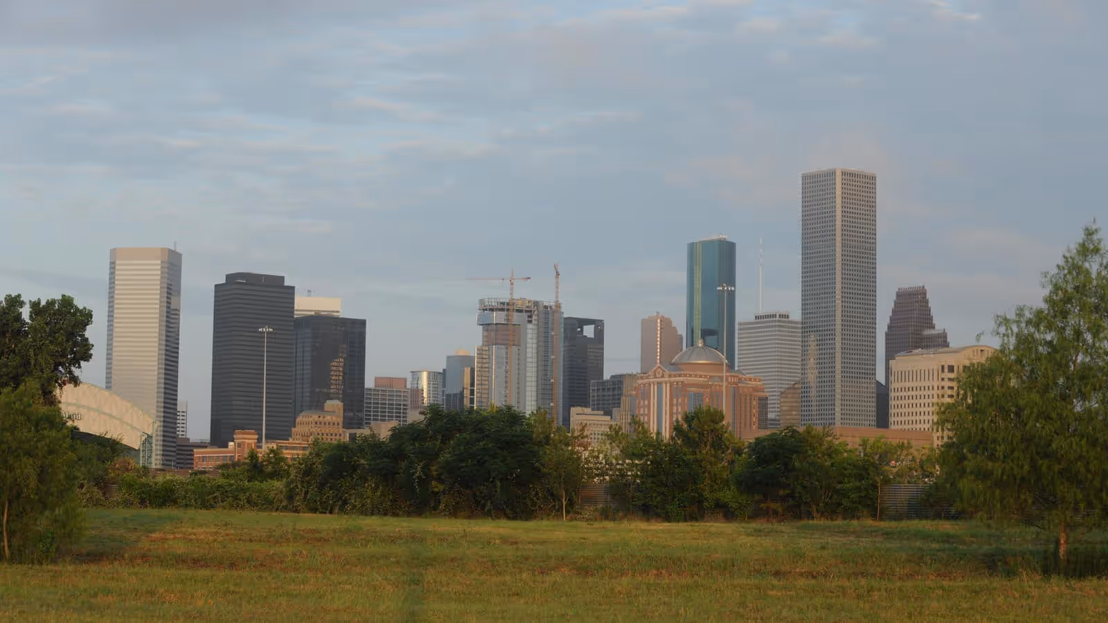 Die Skyline von Downtown Houston, gesehen über ein offenes Grasfeld und eine Reihe von Bäumen unter einem blassen, bewölkten Himmel.